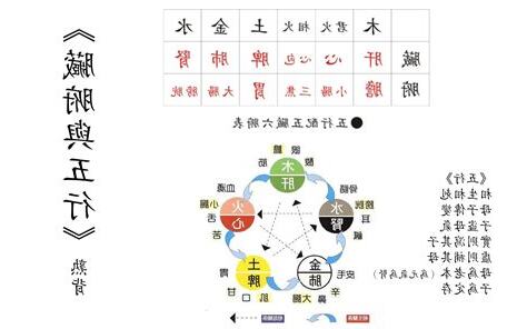 五行 臟腑